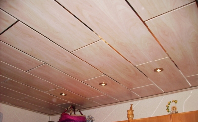 Panele mit Spiegelfeder